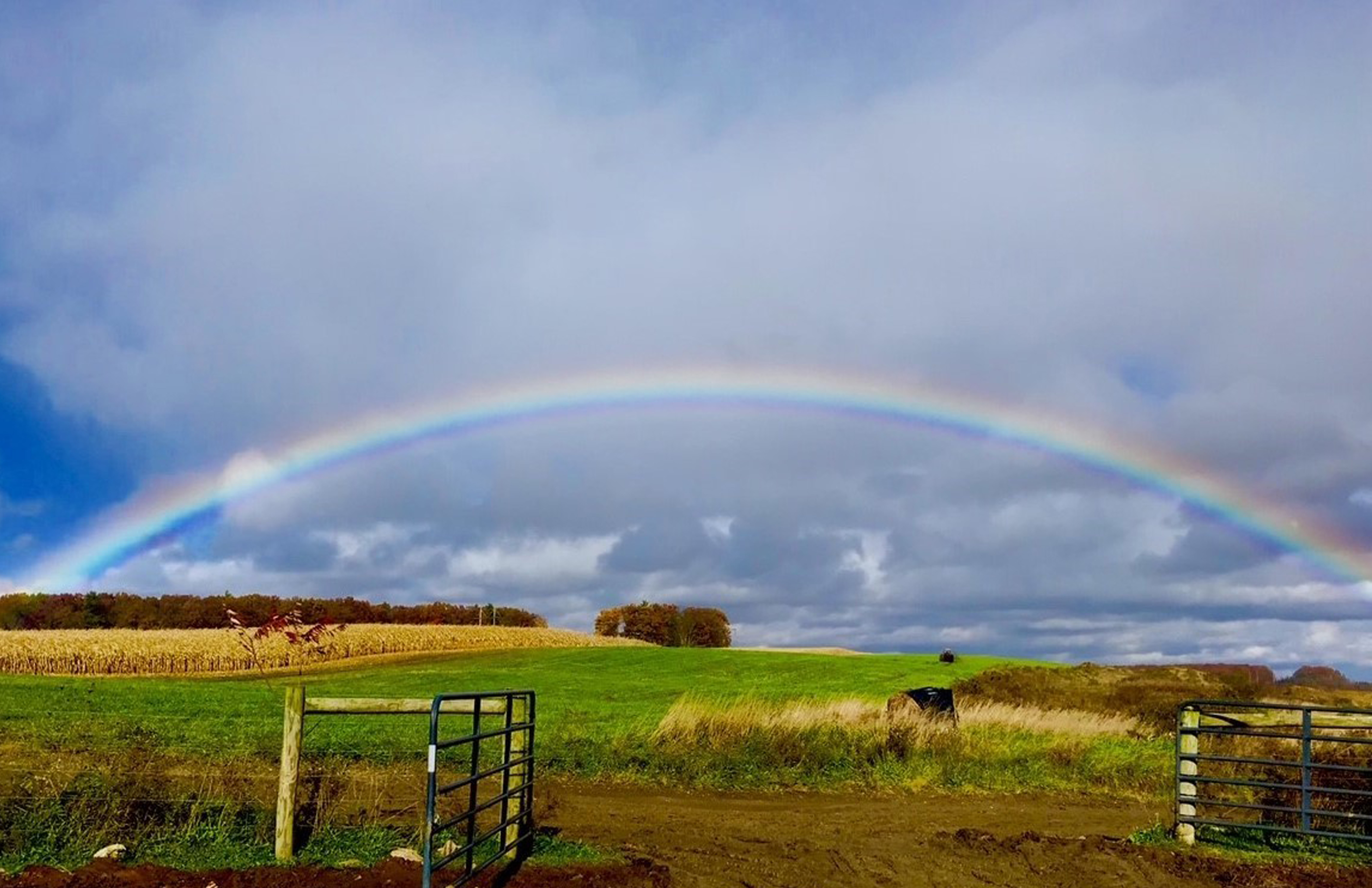 Pot-of-Gold-on-the-Hill_Clearfield_Paula-Kerr.jpg