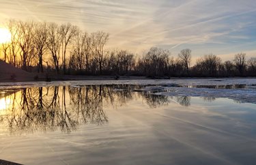 Inside Arch Drawing Roll