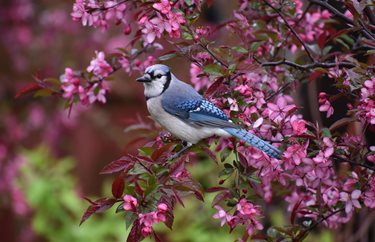 Drumming up a Reflection