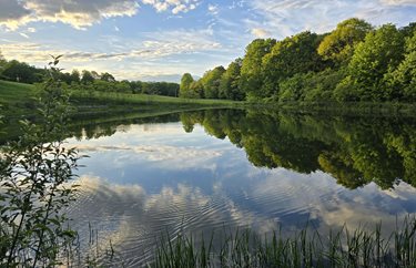 Spiral Installation Inside Mattress Factory Pittsburgh