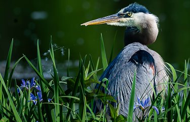 Spiral Installation Inside Mattress Factory Pittsburgh